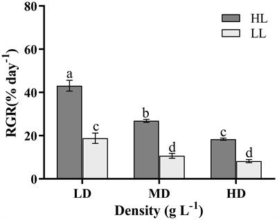 High-light pronounced the effects of stocking density on photosynthesis and nutrients uptake of the bloom-forming green alga, Ulva linza